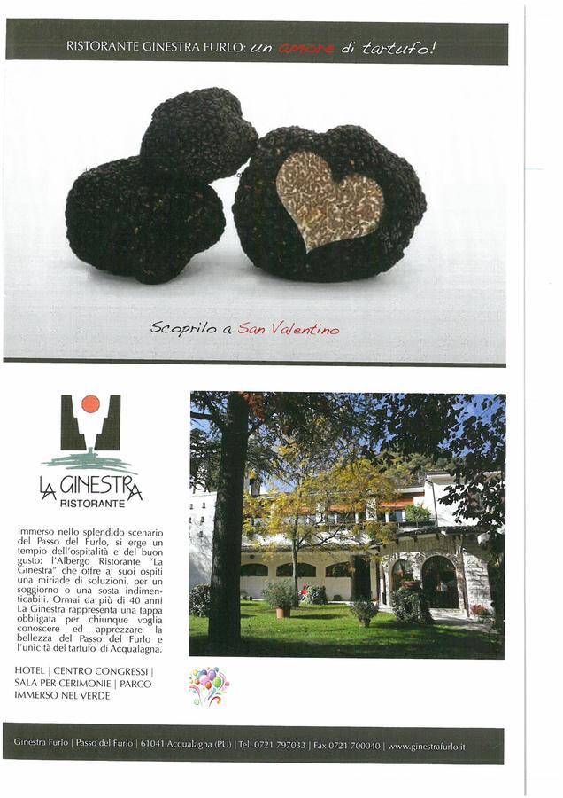 Hotel La Ginestra Acqualagna Extérieur photo